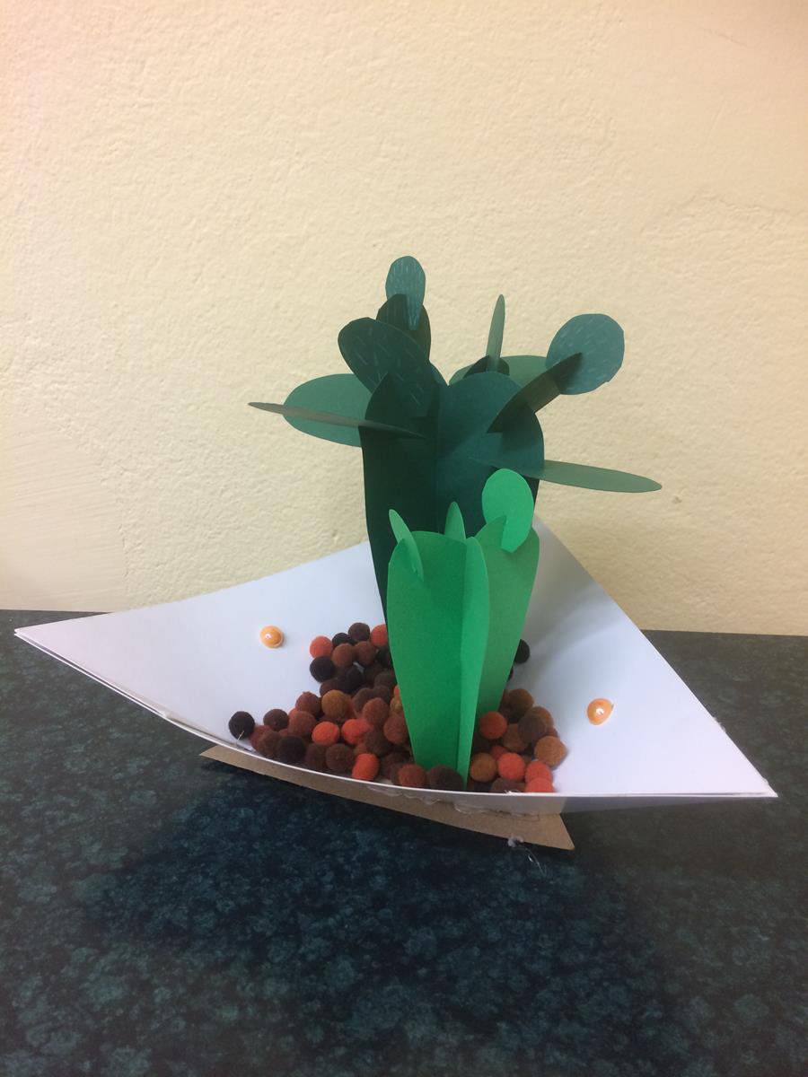Kaktusy wyrosły w pracowni plastycznej